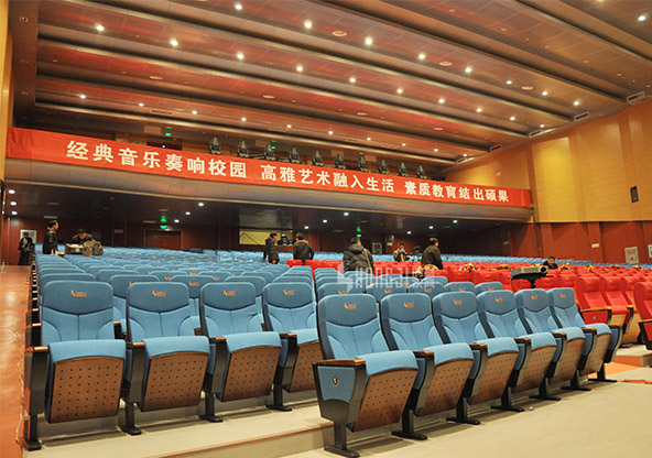 two seat theater seating high-end supplier for cinema-10